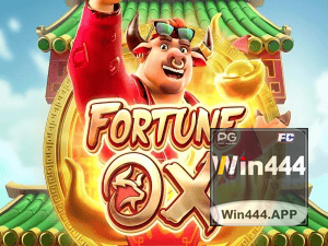 WIN444 login — painel de entrada no app oficial
