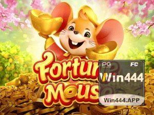 WIN444 login — configurações de segurança e proteção de conta